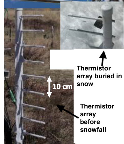 Thermistor array